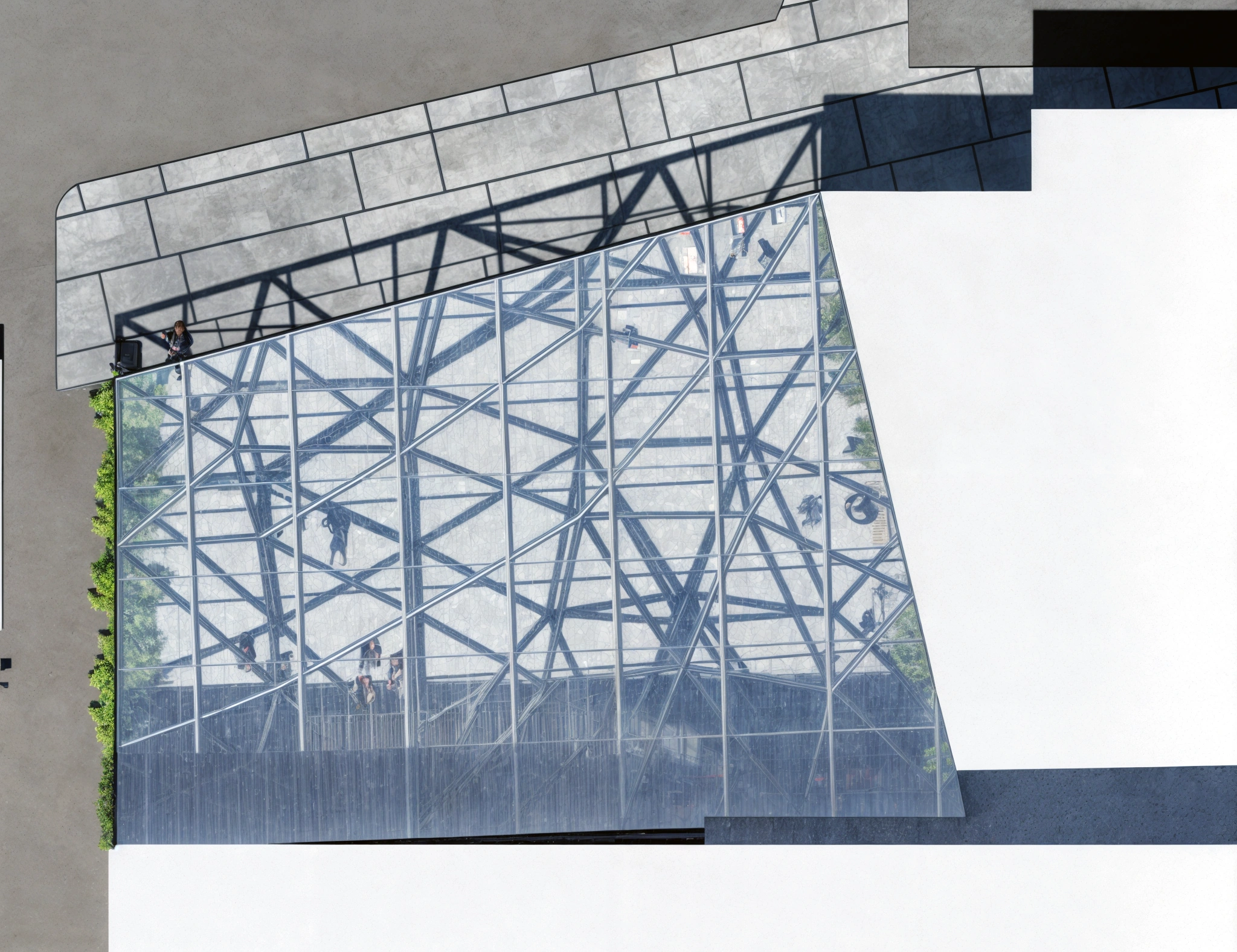LASCA Estudio — Cubierta Bugambilias: Arquitectura